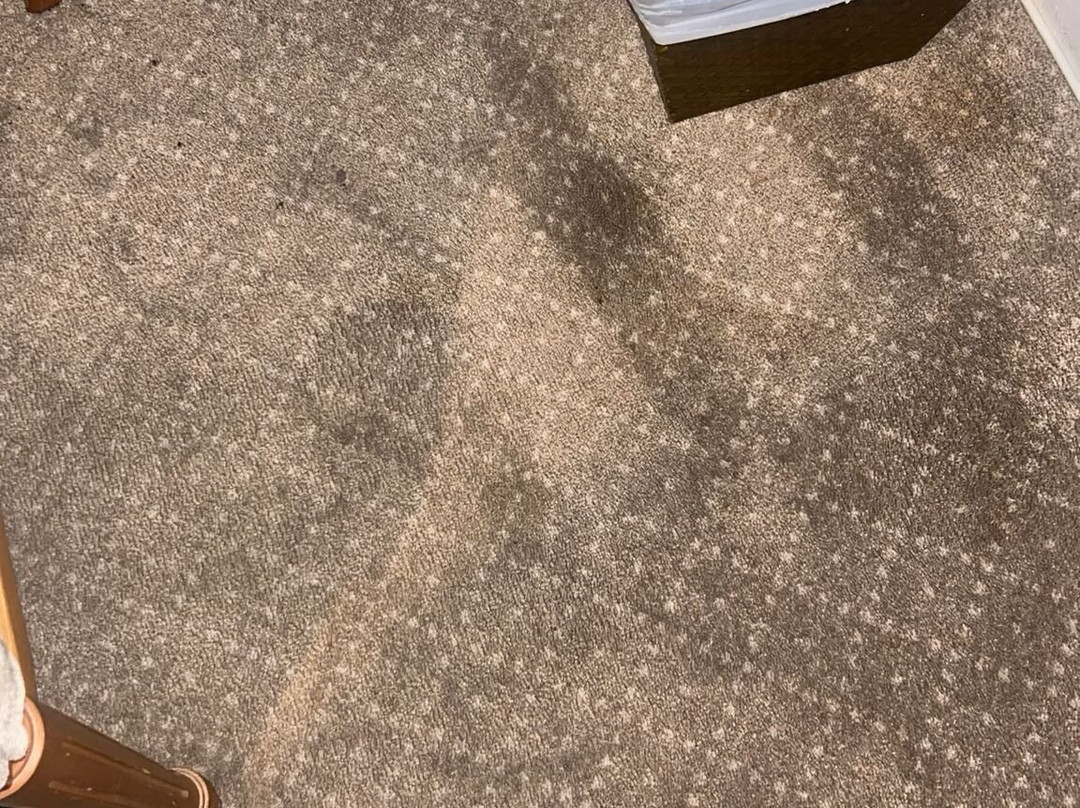 天鹅Spa酒店主图