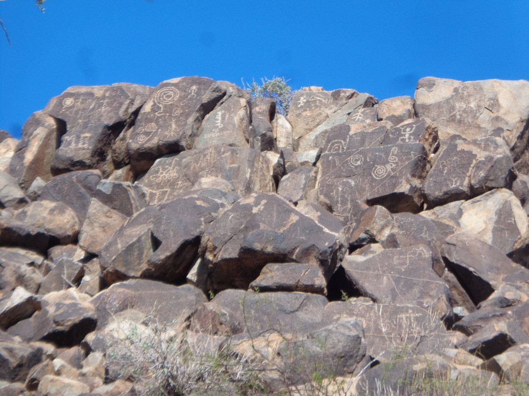 Saguaro National Park-图森必去景点