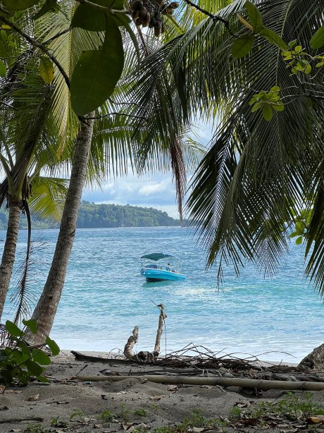 La Paloma Lodge Drake Bay-旅行者