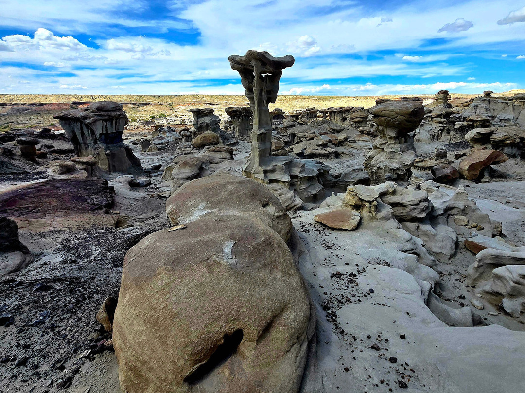 Ah-Shi-Sle-Pah Wilderness Study Area-Bloomfield必去景点