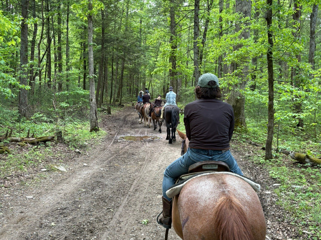 Cades Cove Riding Stables-汤森必去景点