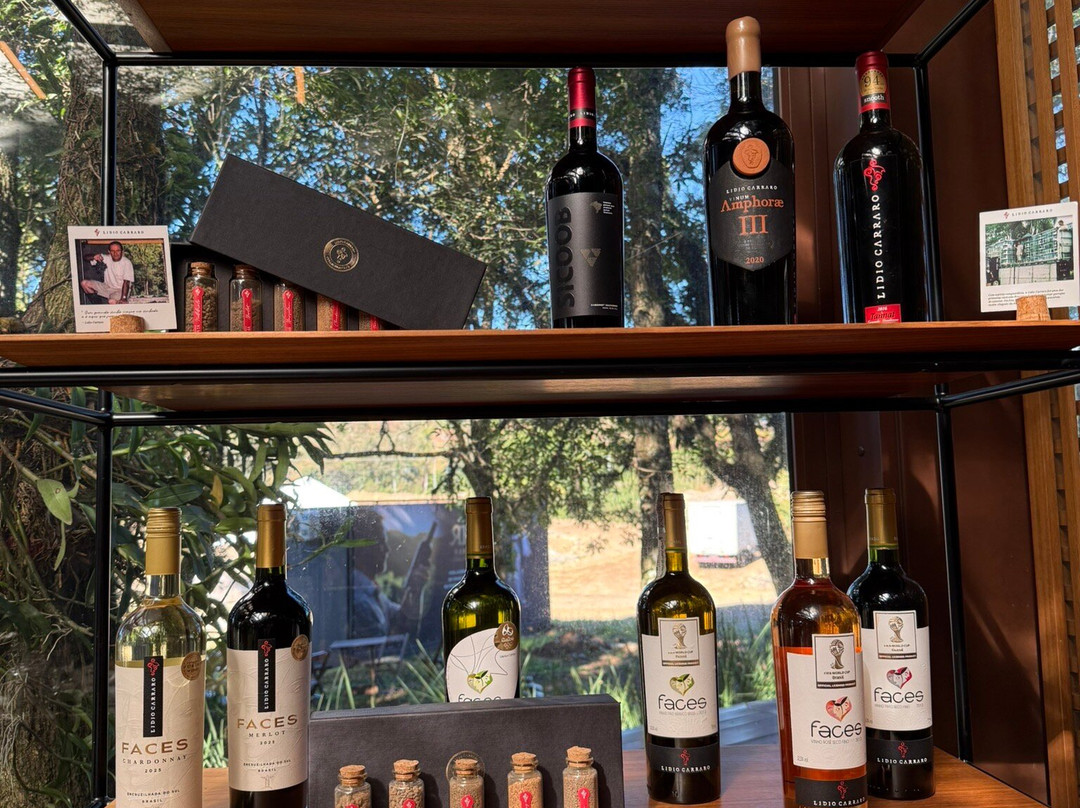 Lidio Carraro Vinícola Boutique-本图贡萨尔维斯必去景点
