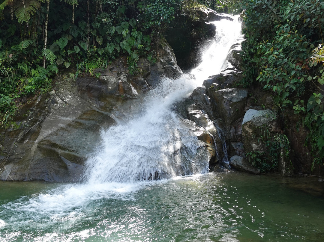 Esmeralda Ecotours San Rafael-San Rafael必去景点