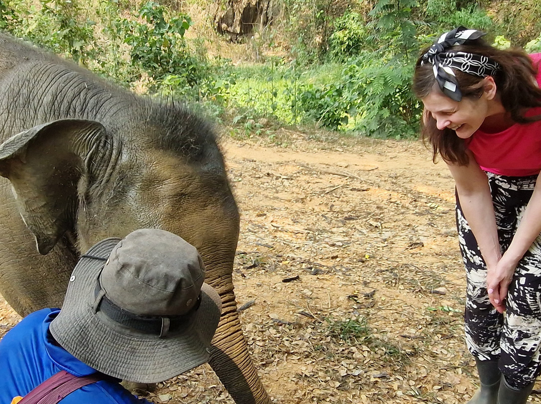 Boon Lott's Elephant Sanctuary-素可泰必去景点