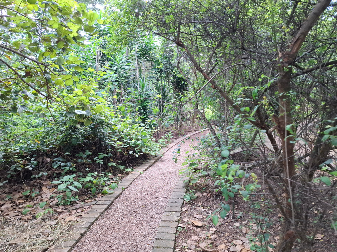 Nyandungu Eco-Park-吉佳利必去景点
