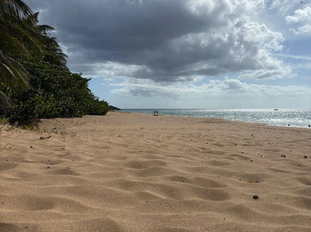 Plage de la Perle-Rifflet必去景点