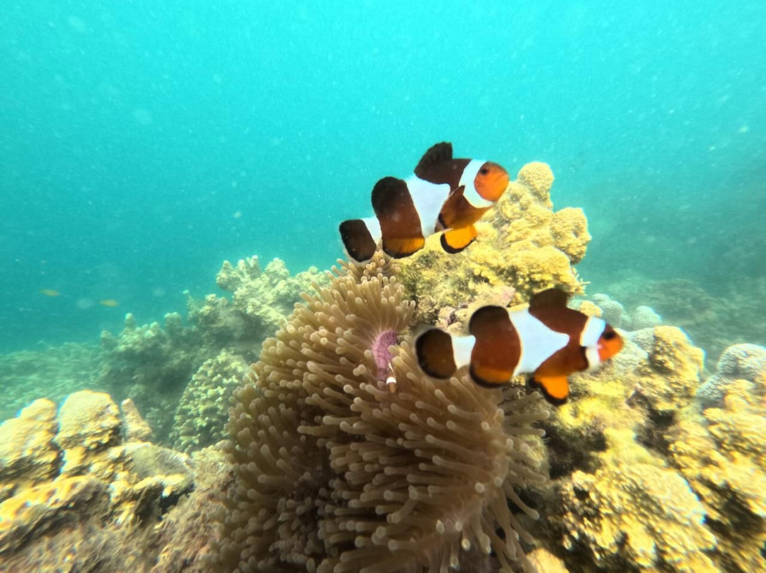Batam Snorkeling Tour-Tembesi必去景点