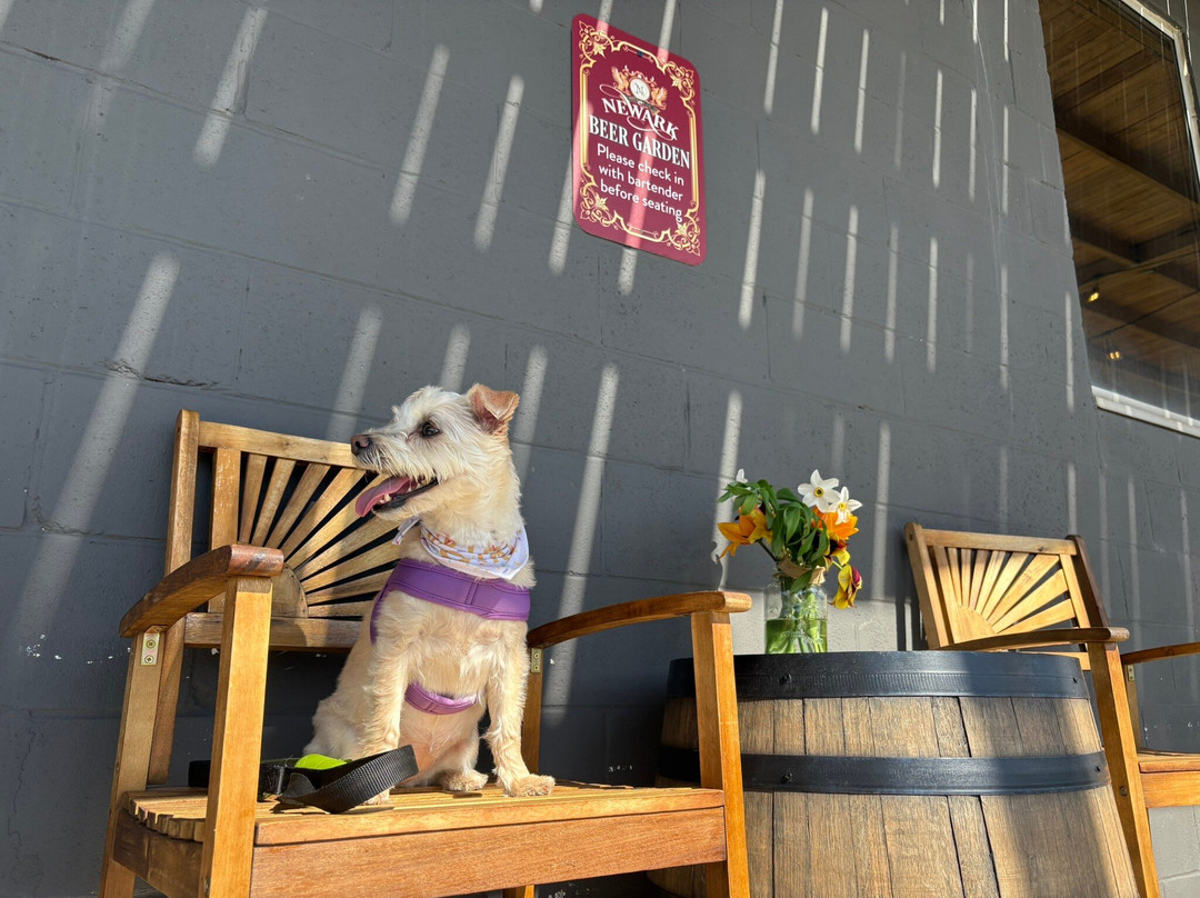 Newark Brewing Company