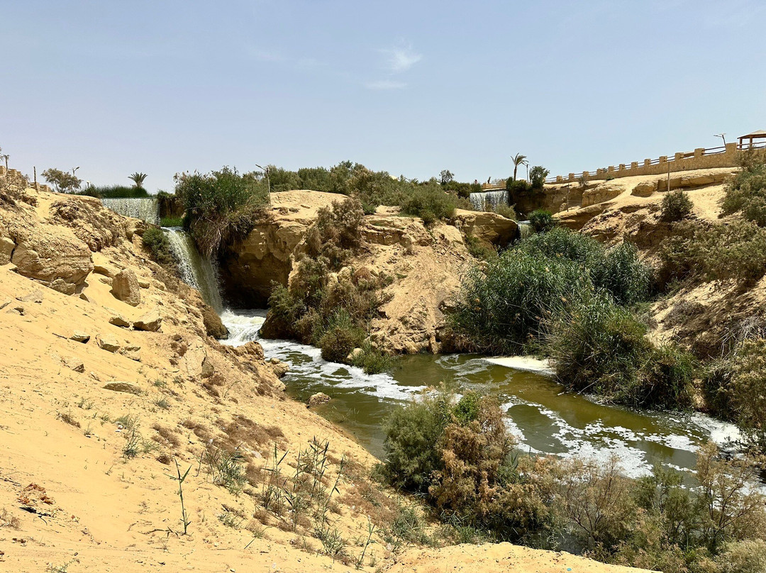 Jimmy Egypt Safari-Bawiti必去景点