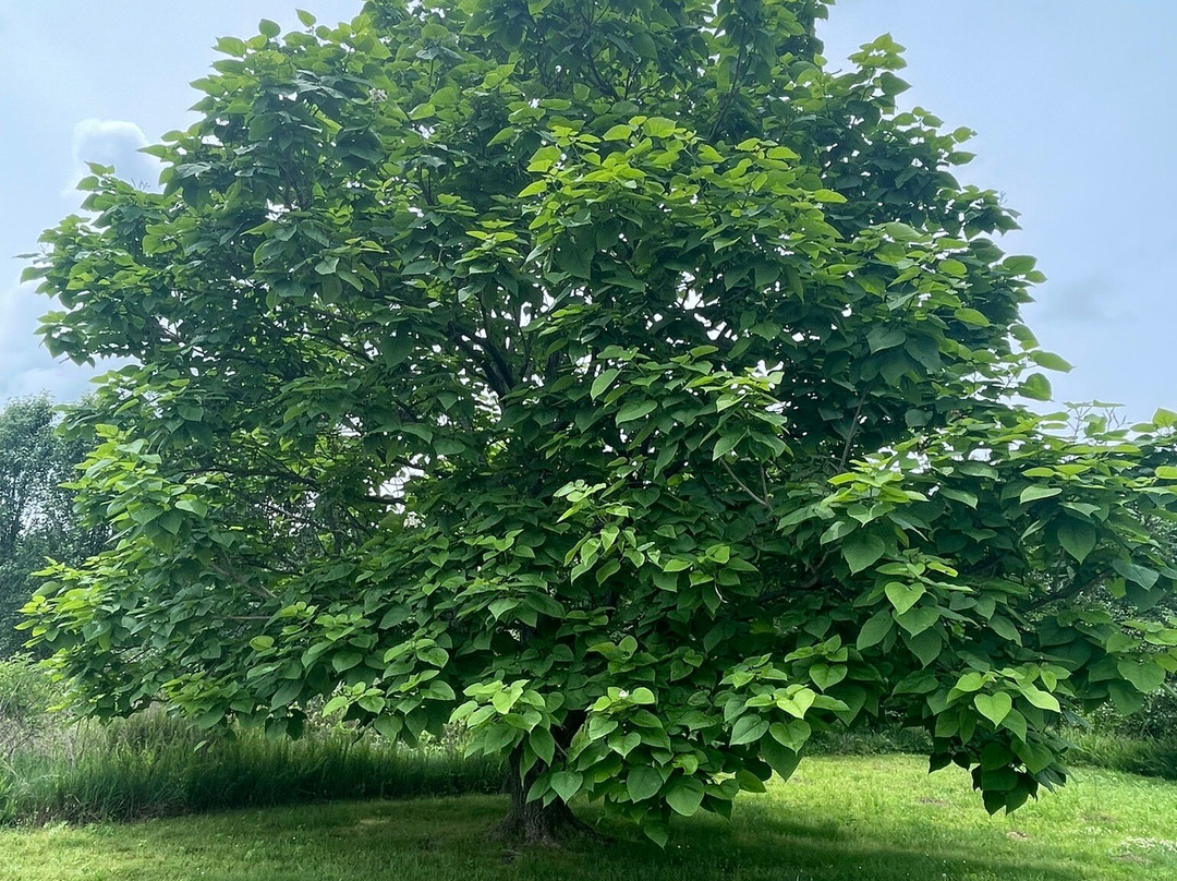 Friedman Park-Newburgh必去景点