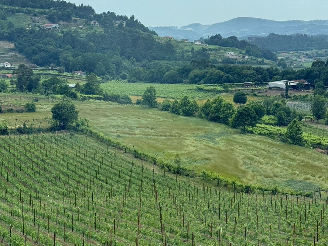 Quinta Da Lixa-Felgueiras必去景点