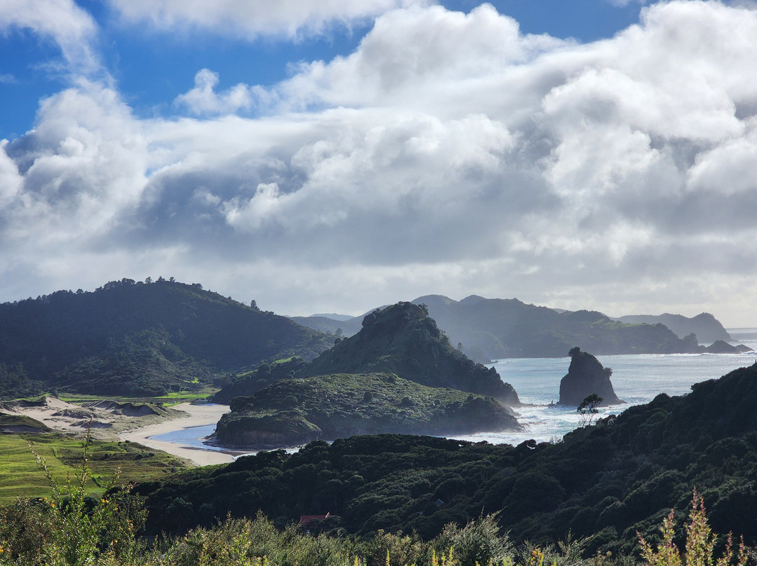 Mt Hobson via Windy Canyon-Great Barrier Island必去景点