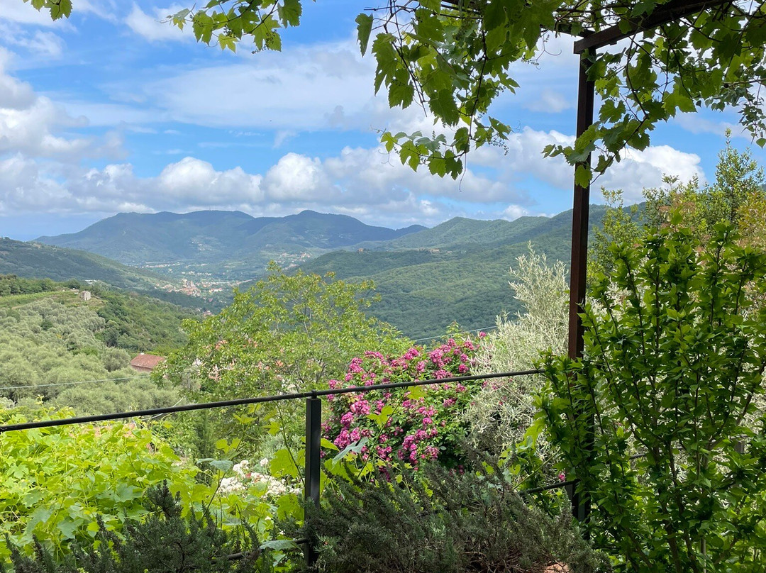 Casa Carpe Diem A Villa Barca主图