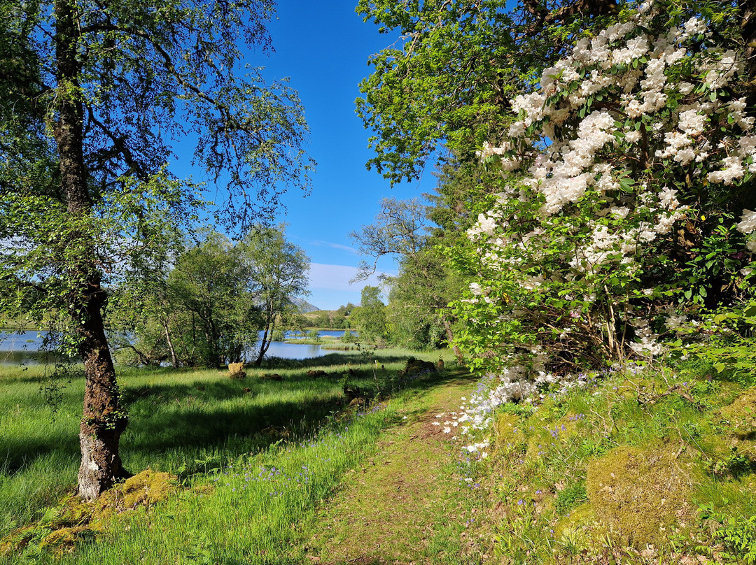 Angus's Garden, Barguillean-Taynuilt必去景点
