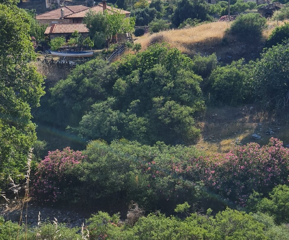 Doganbey-Soke必去景点