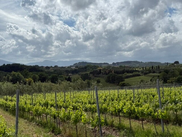Come & See Italy - Day Tours-蒙特卡蒂尼－泰尔梅必去景点
