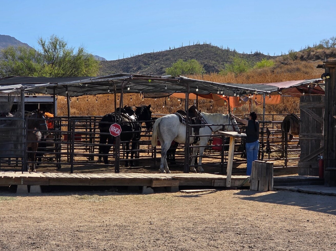 Arizona Horseback Adventures at Spur Cross-洞溪必去景点