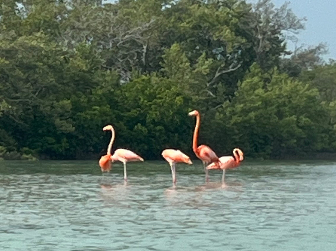 My Holbox Tours-Holbox必去景点