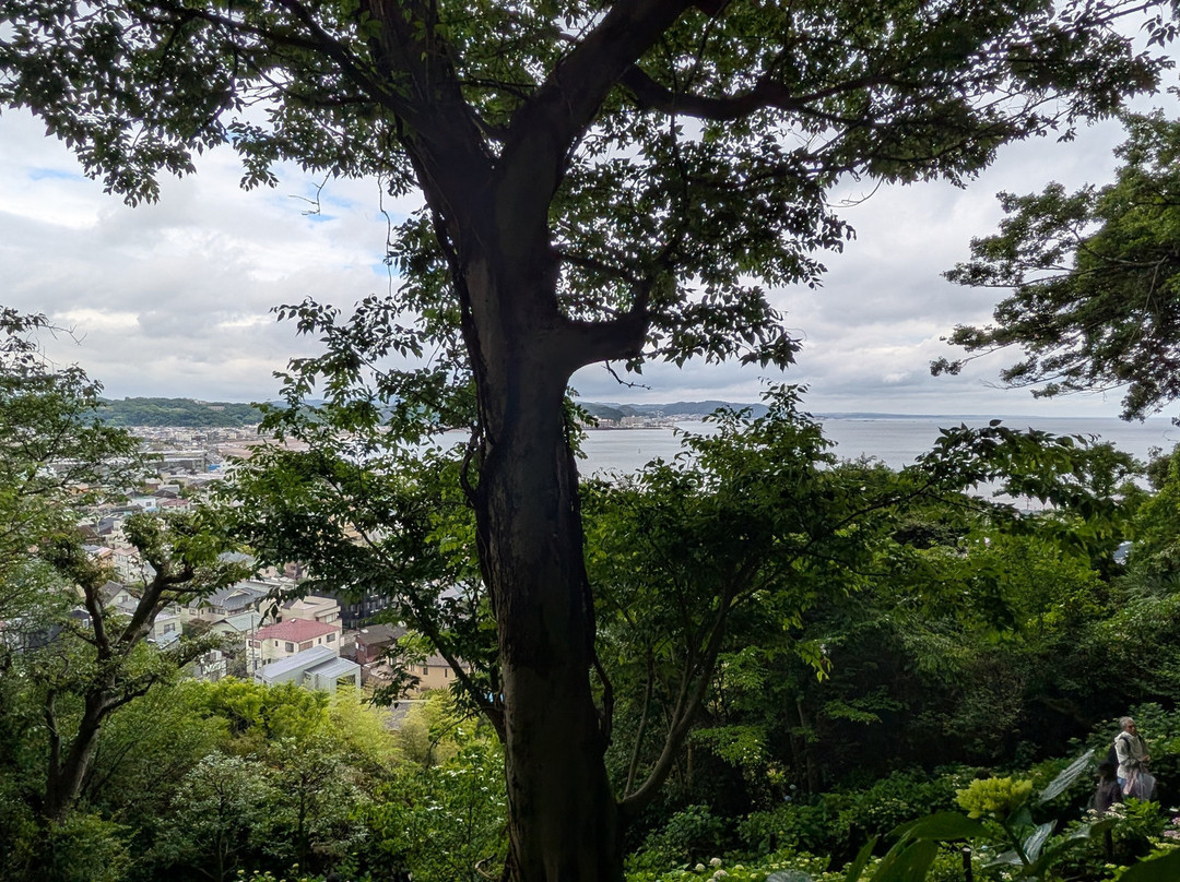 Hase-dera Temple Scenic Walkway-镰仓市必去景点