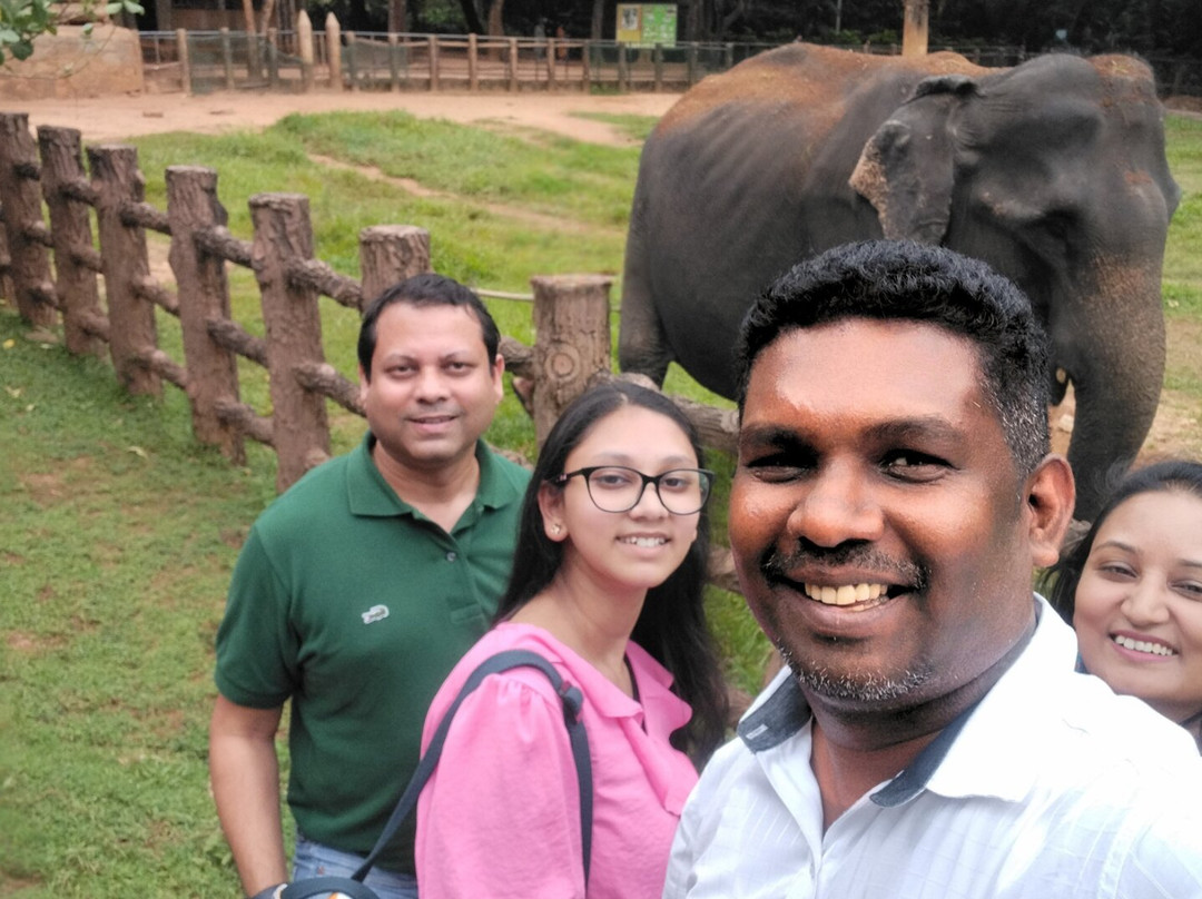 Ceyglow Tours - Private Driver Sri Lanka-Katana必去景点