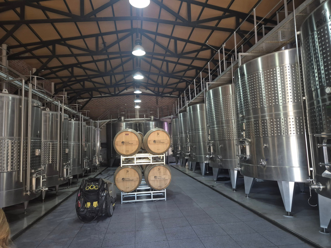 Bodega San Pedro de Yacochuya-卡法亚特必去景点