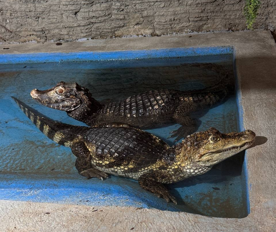 Zoo Farm Shihovo-Shikhovo必去景点