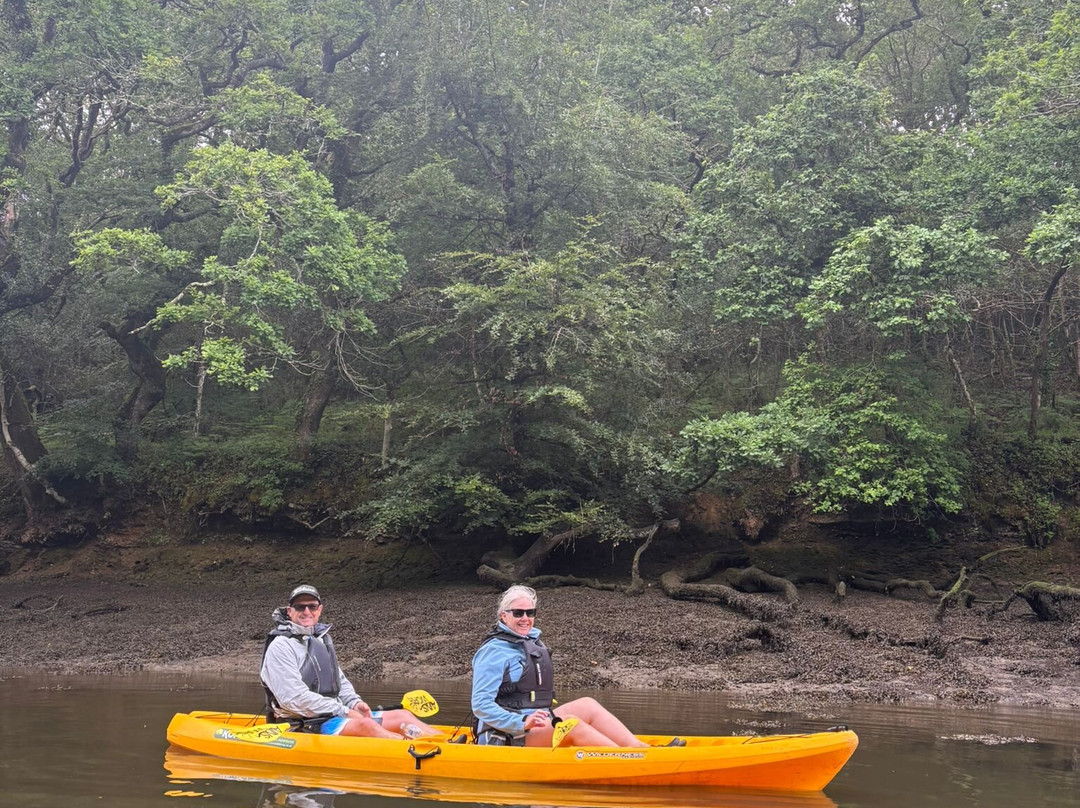 Koru Kayaking-St Agnes必去景点