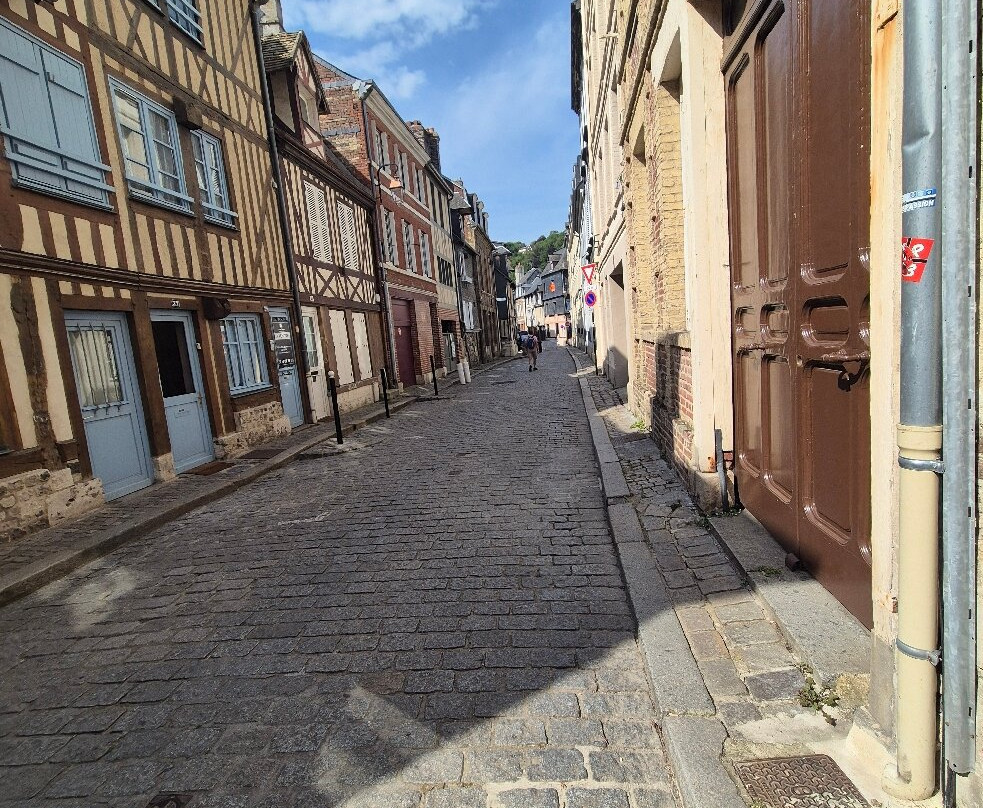 Le Vieux Bassin-翁弗勒尔必去景点