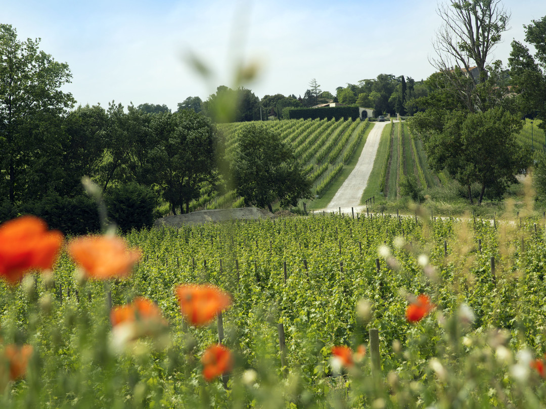 Domaine Gayda-Brugairolles必去景点