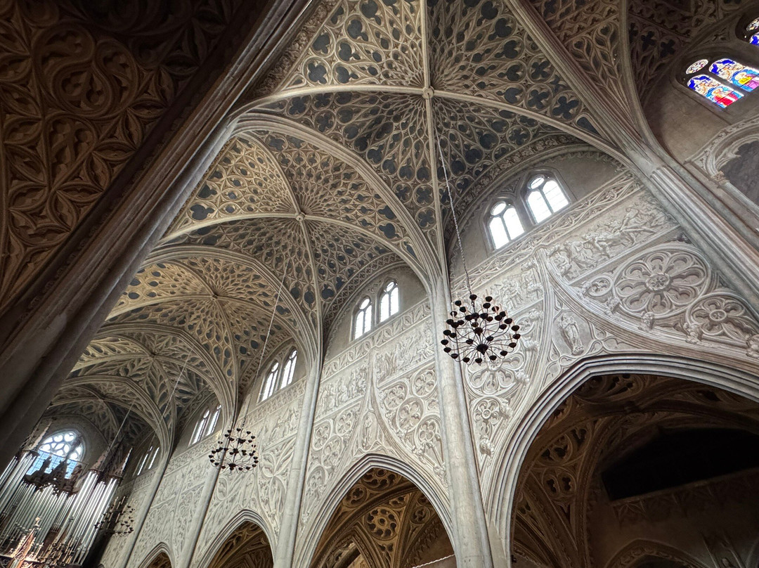 Cathédrale Saint-Francois-De-Sales-尚贝里必去景点