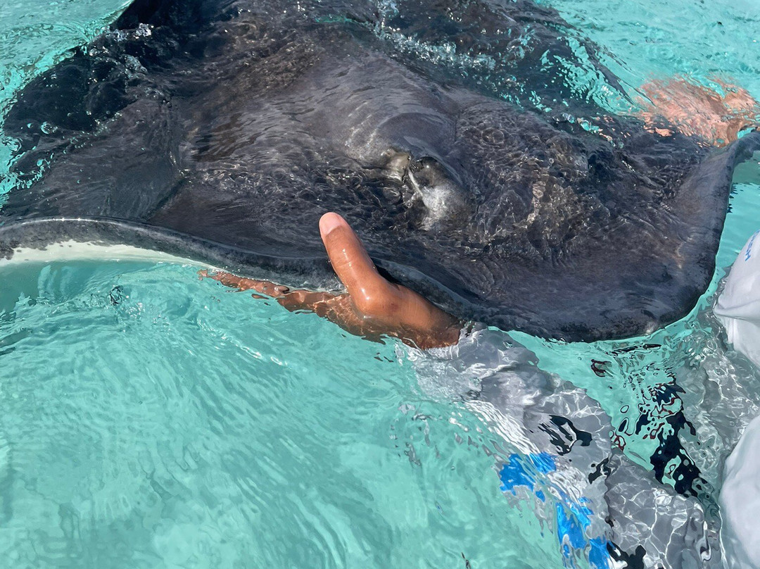 Six Senses Cayman Adventures-七哩滩必去景点