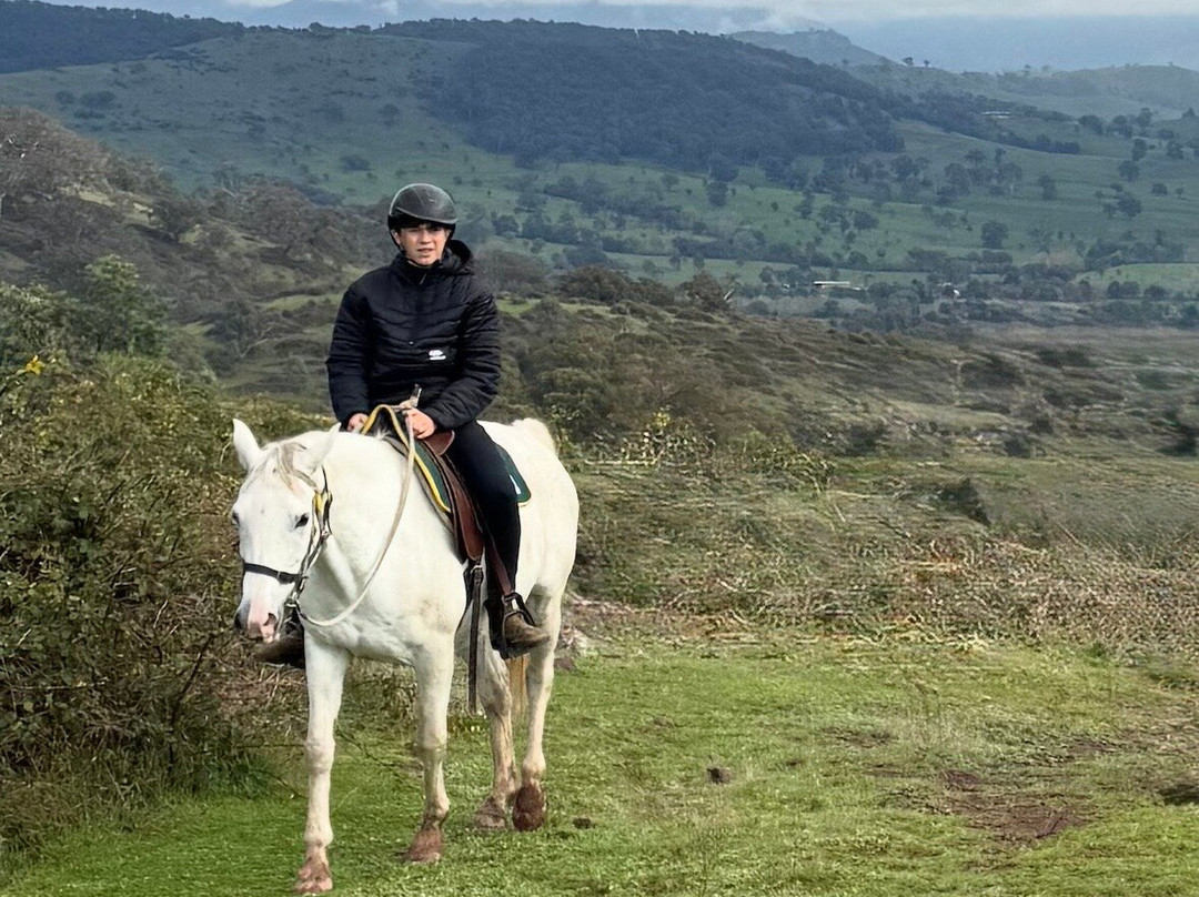 Watson's Mountain Country Trail Rides - Day Tours-曼斯菲尔德必去景点