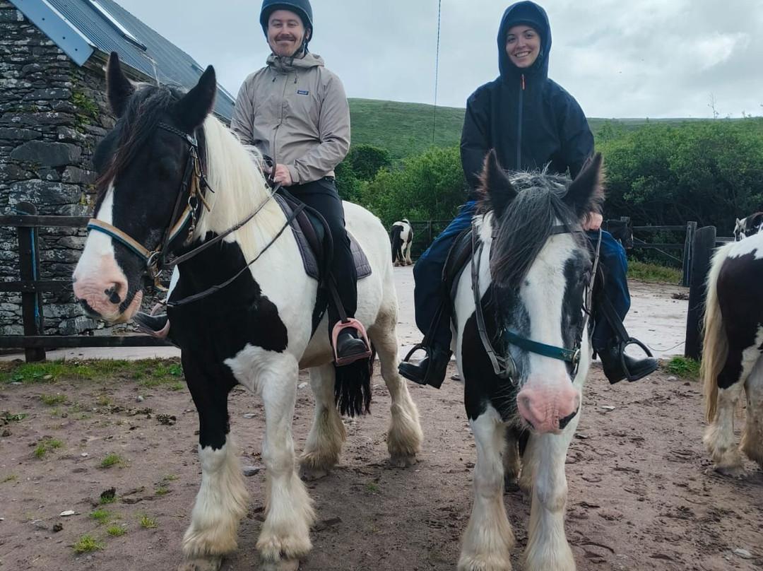 Long's Horse Riding-Ventry必去景点