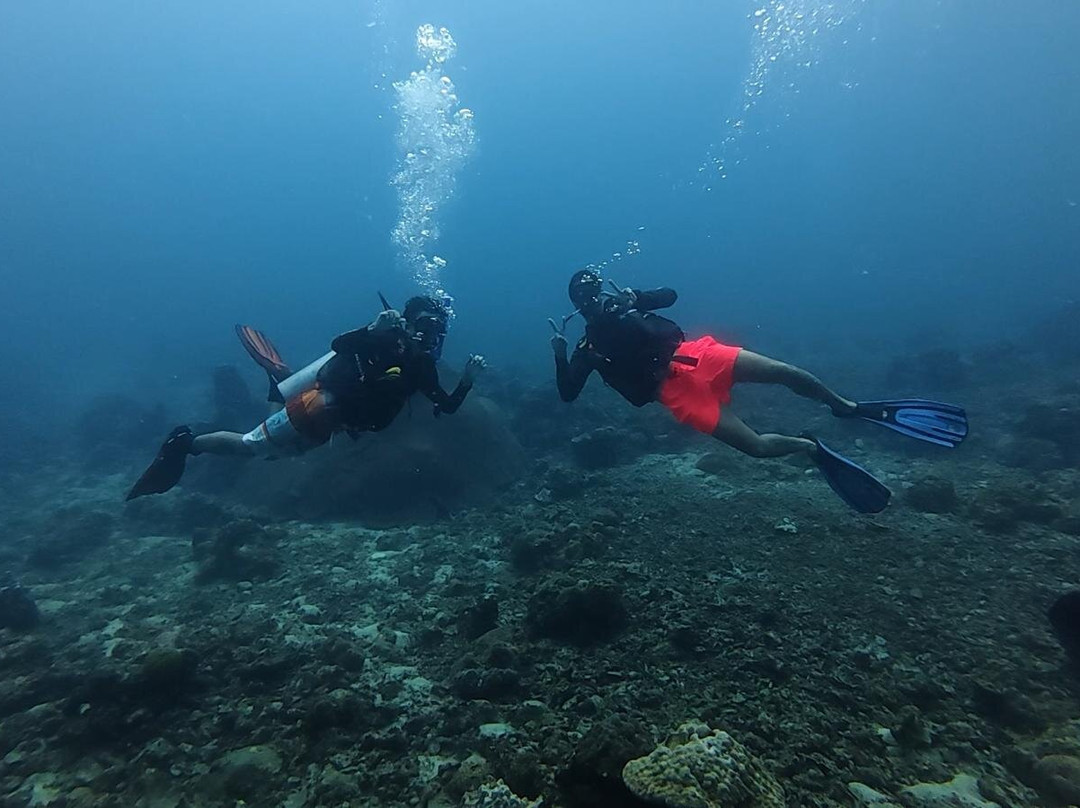 Anti Gravity Divers-小停泊岛必去景点