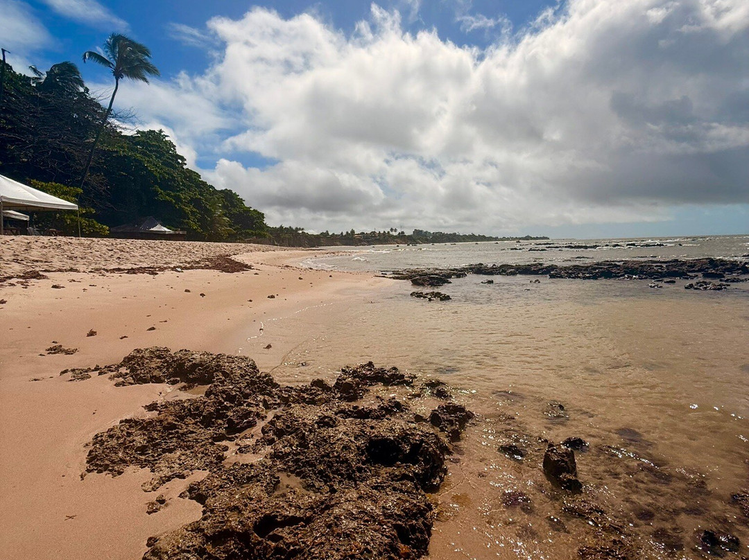 Carapibus Beach-Conde必去景点
