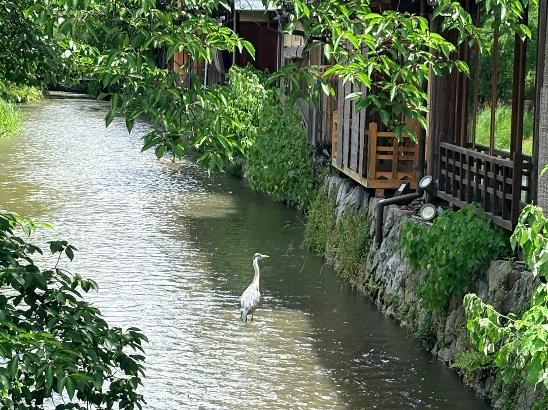 白梅料理旅馆主图