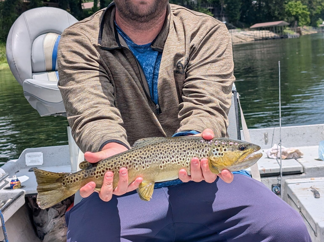 Cotter Trout Dock Guided Trout Fishing Tours-Cotter必去景点
