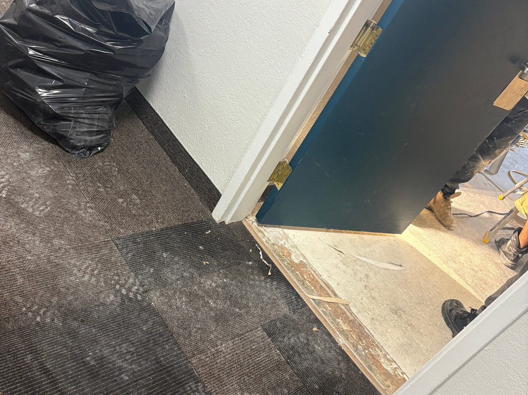 斯普林菲尔德工作室6号，弗吉尼亚州 – 华盛顿DC西南区