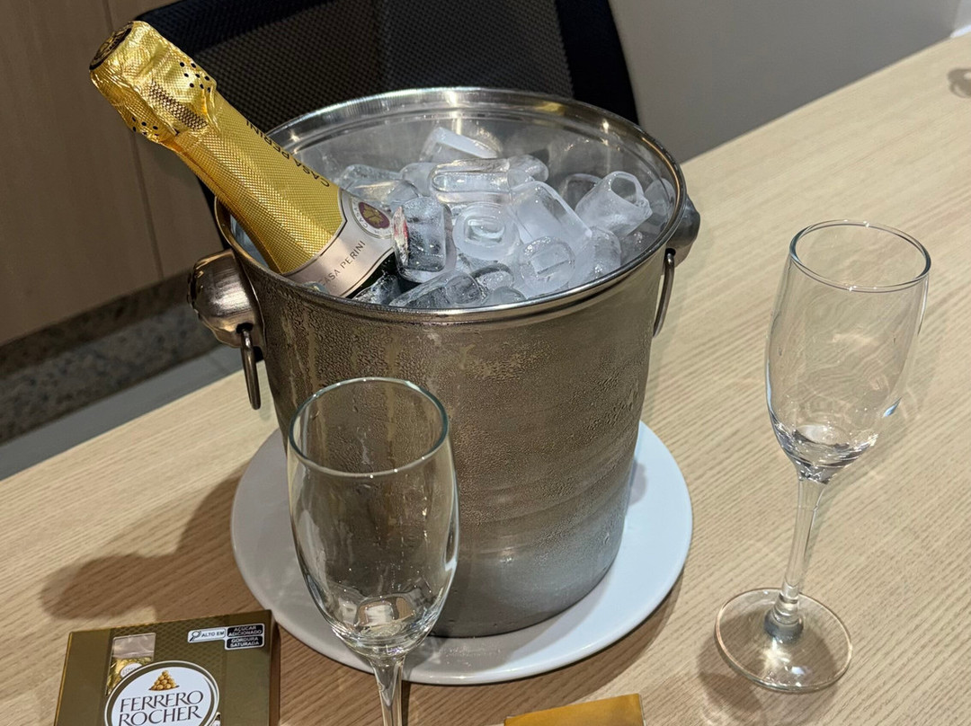 卡利南喝普鲁斯尊贵酒店主图