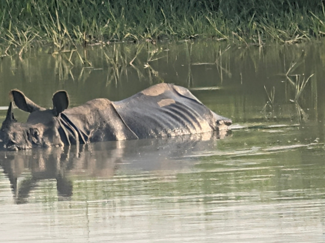 Kishanpur Wildlife Sanctuary-Bhira必去景点