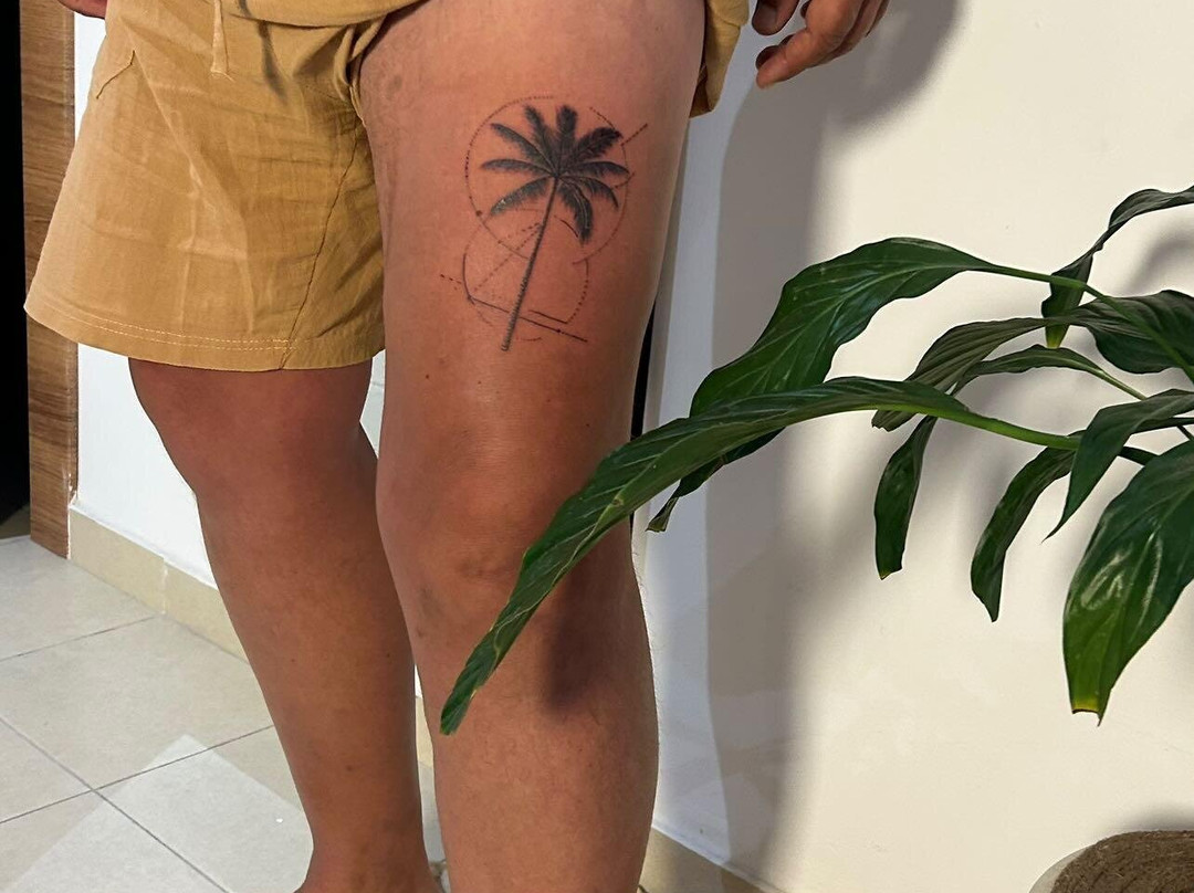 Ali Tattoo-Djerba Midun必去景点