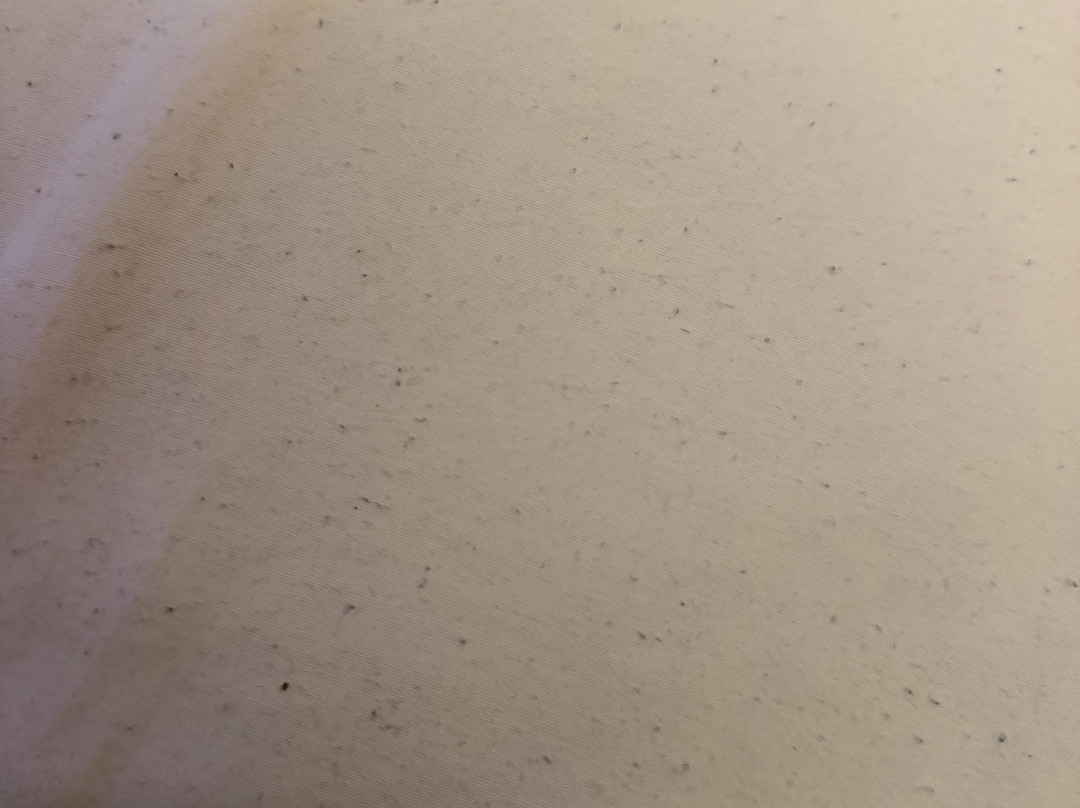 克列奥帕特拉法提赫酒店主图