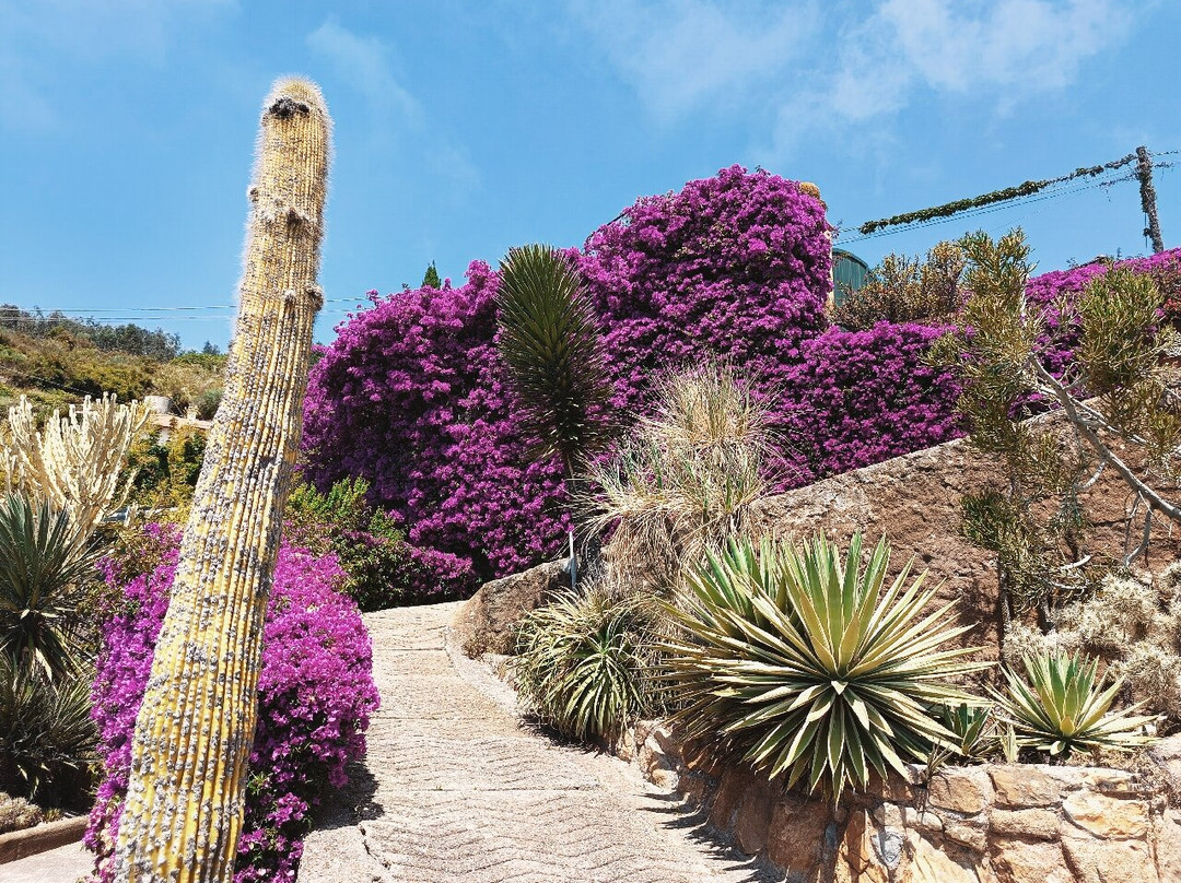 Giardino Esotico Pallanca-博尔迪盖拉必去景点