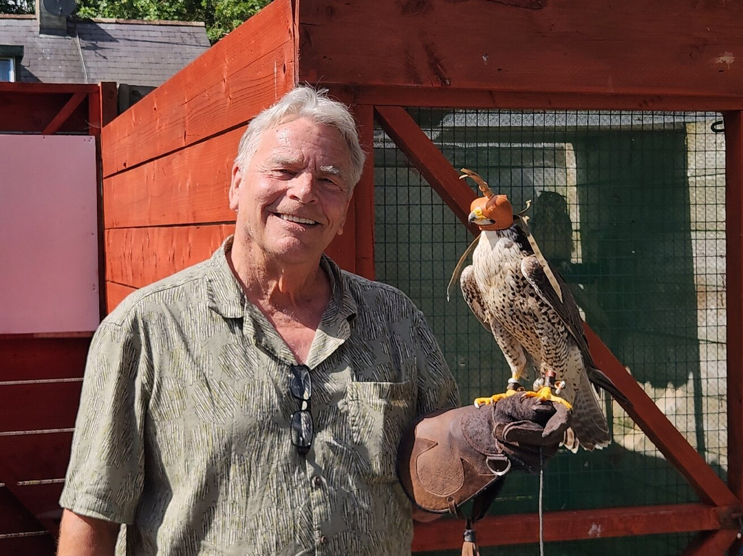 Dublin Falconry-Castleknock必去景点