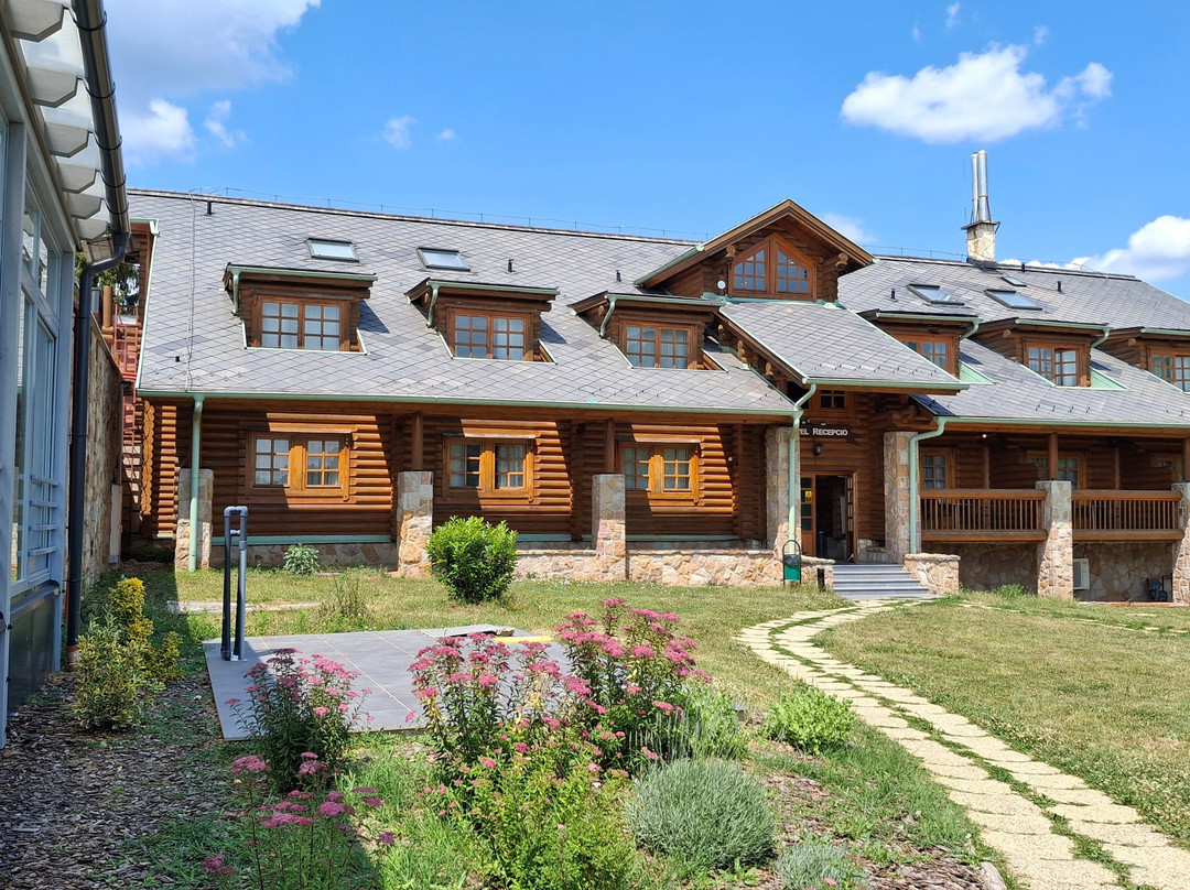 Szent Orbán Erdei Wellness Hotel és Residence主图