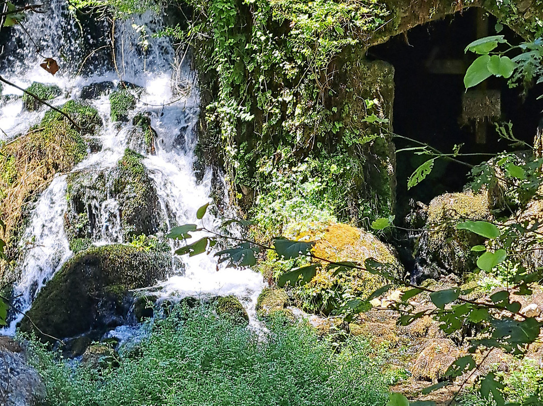 Oasi WWF Grotte del Bussento-Morigerati必去景点