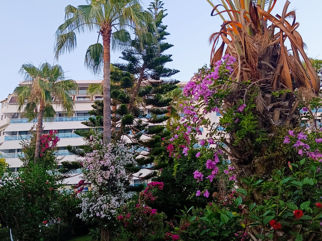 德瑞塔酒店主图