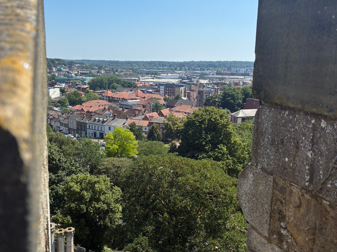 Norwich Castle Museum & Art Gallery-诺威奇必去景点