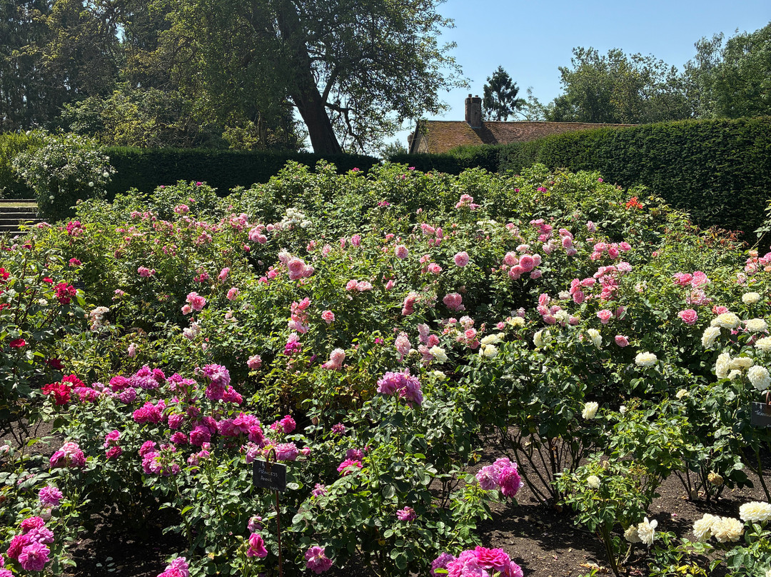 Loseley Park-吉尔福德必去景点