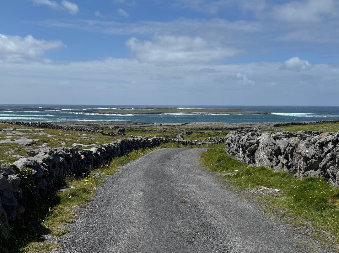 Aran Celtic Tours